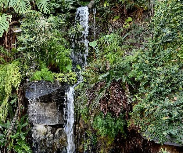 Fergus ホテル プエルト・デ・ラ・クルス