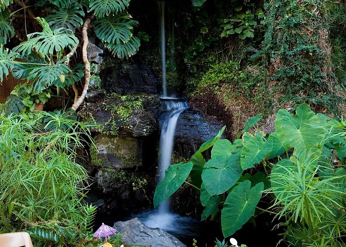 ホテル Fergus プエルト・デ・ラ・クルス